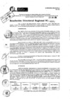 Vista preliminar de documento RDR 8981-2024