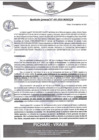 Vista preliminar de documento rgm493