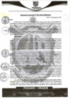 Vista preliminar de documento rgm494