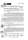 Vista preliminar de documento RDR 8982-2024