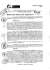 Vista preliminar de documento RDR 8983-2024