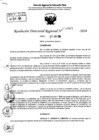 Vista preliminar de documento RDR 8987-2024