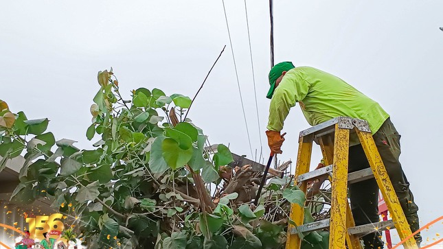 🔰¡Seguimos mejorando nuestras áreas verdes!. El día de hoy el personal de parques y jardines, vienen realizando el mantenimiento de áreas verdes en calle San Carlos, con la finalidad de dar espacios limpios y saludables para el disfrute de todo los vecinos.