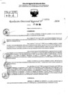 Vista preliminar de documento RDR 8988-2024