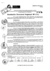 Vista preliminar de documento RDR 8989-2024