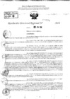 Vista preliminar de documento RDR 8991-2024