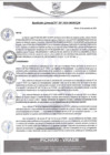 Vista preliminar de documento rgm507