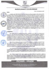 Vista preliminar de documento rgm510