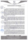 Vista preliminar de documento rgm513