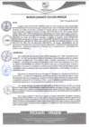 Vista preliminar de documento rgm514