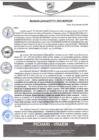Vista preliminar de documento rgm517
