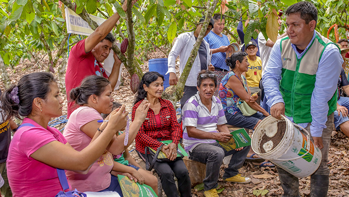 SAN MARTIN CACAO DIA CAMPO