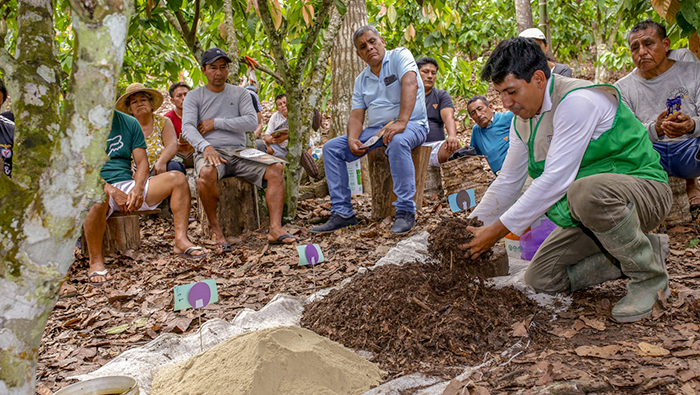 SAN MARTIN CACAO DIA CAMPO