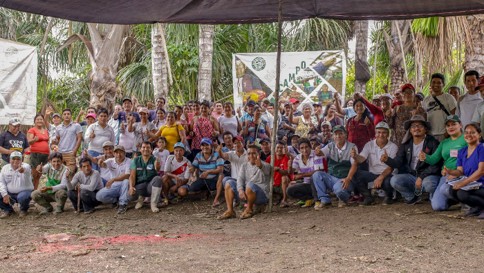 SAN MARTIN CACAO DIA CAMPO