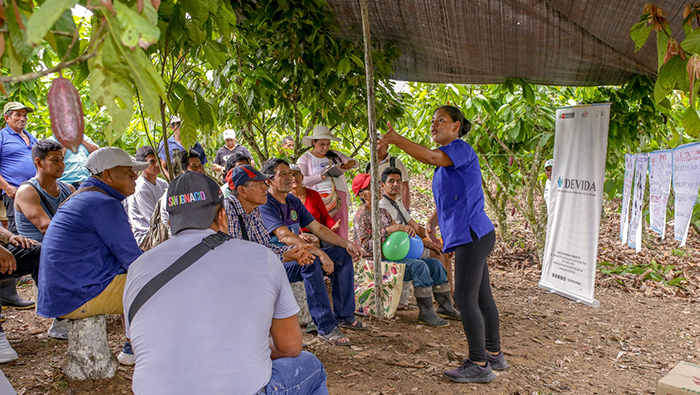 SAN MARTIN CACAO DIA CAMPO