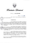 Vista preliminar de documento RD N° 216-2024
