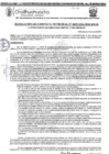 Vista preliminar de documento RGM-695-2024