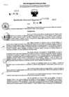 Vista preliminar de documento RDR 9036-2024