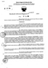 Vista preliminar de documento RDR 9037-2024