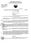 Vista preliminar de documento RDR 9038-2024