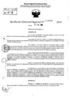 Vista preliminar de documento RDR 9039-2024