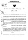 Vista preliminar de documento RDR 9040-2024