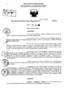 Vista preliminar de documento RDR 9041-2024