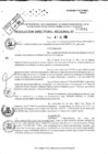 Vista preliminar de documento RDR 9044-2024