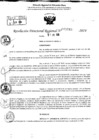Vista preliminar de documento RDR 9045-2024