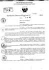 Vista preliminar de documento RDR 9046-2024