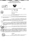 Vista preliminar de documento RDR 9047-2024