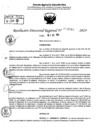 Vista preliminar de documento RDR 9049-2024