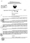 Vista preliminar de documento RDR 9050-2024