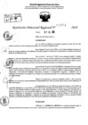 Vista preliminar de documento RDR 9051-2024