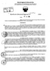 Vista preliminar de documento RDR 9053-2024