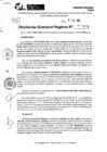 Vista preliminar de documento RDR 9489-2024