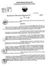 Vista preliminar de documento RDR 9058-2024