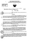 Vista preliminar de documento RDR 9059-2024