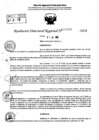 Vista preliminar de documento RDR 9060-2024