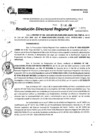 Vista preliminar de documento RDR 9495-2024