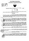 Vista preliminar de documento RDR 9063-2024