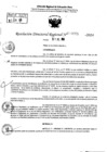 Vista preliminar de documento RDR 9065-2024