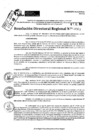 Vista preliminar de documento RDR 9069-2024