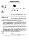 Vista preliminar de documento RDR 9070-2024