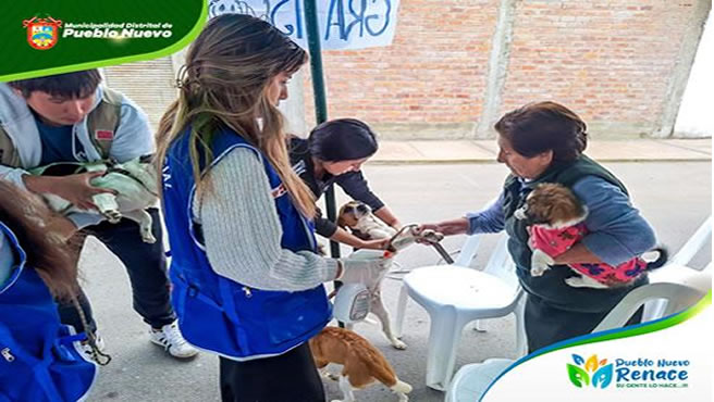 Archivo de imagen para la nota de prensa N° 24