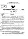 Vista preliminar de documento RDR 9073-2024