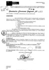 Vista preliminar de documento RDR 9501-2024