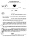 Vista preliminar de documento RDR 9074-2024