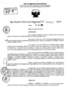 Vista preliminar de documento RDR 9503-2024