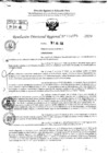 Vista preliminar de documento RDR 9079-2024
